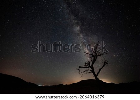 A lonely tree under the milky way on a magical night full of stars