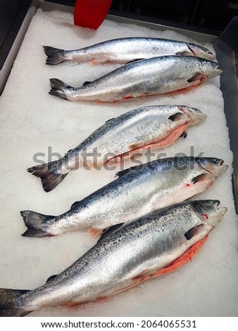 Salmon fish in the city market, counter with seafood. Seafood on display. Salmon fish a lot on ice. Vertical photo
