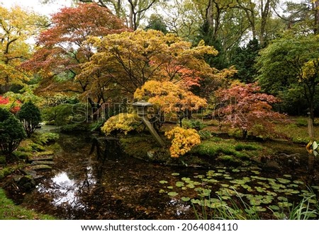 Autumn in the japanese garden The Hague - Clingendael, The Netherlands.