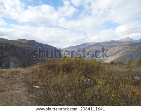 Calm autumn spruce forest and field against the backdrop of huge majestic mountains.