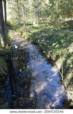 Light and shadow play at the bed of young river Saarbach in the Wasgau forest on a sunny autumn sky, Ludwigswinkel, Fischbach, Rhineland Palatinate, Germany