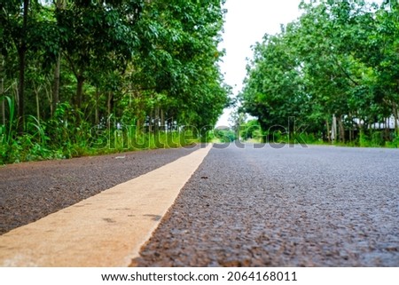 The rice-colored road line along the side of the road are trees.