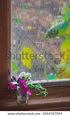 Small bouquet of snapdragon flowers on a windowsill with misted glass and a view of an autumn garden with yellowing raspberry leaves