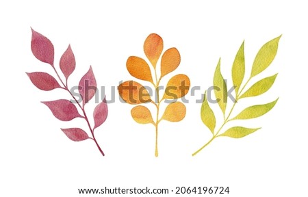 Set of red, orange and green leaves isolated on a white background. Autumn collection. Watercolor illustration. Simple stylized foliage. Colourful natural clip art
