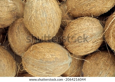 lots of brown coconuts. top view