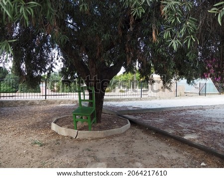 An old green chair under a large olive tree. Concept of loneliness and old age