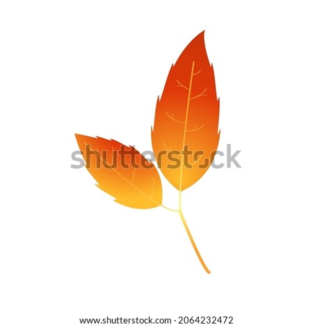 Motley fire and rust colored autumn leaf