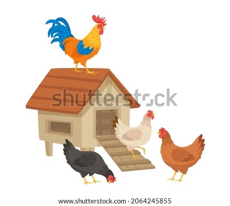 Hens and rooster near the henhouse. Vector cartoon style illustration isolated on white background. Royalty-Free Stock Photo #2064245855