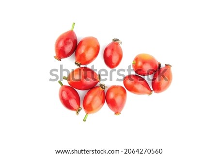 Rose hips briar berries isolated on white background top view Royalty-Free Stock Photo #2064270560