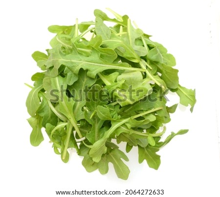 A baby arugula vegetable isolated on white background Royalty-Free Stock Photo #2064272633