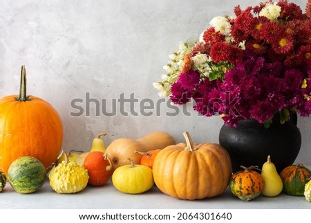 Beautiful bouquet of autumn chrysanthemum flowers in a vase and various colorful pumpkins on the table, Thanksgiving holiday, autumn home decoration