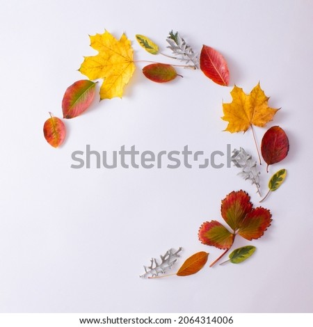 Colorful autumn leaves wreath against white background. Flat lay minimal concept