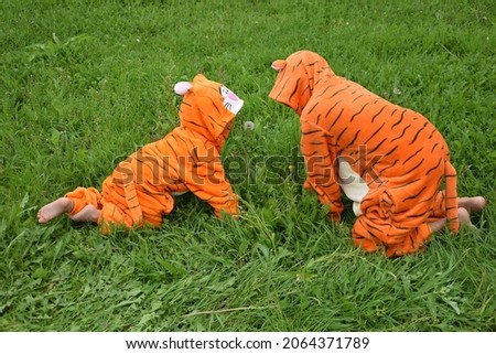 2022, year of the tiger, zodiac sign, children in a tiger costume, in the summer on the lawn, in the park, cubs
