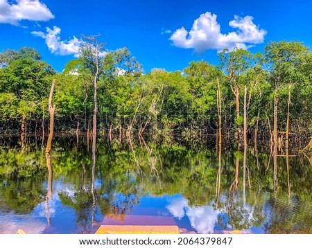 Lake… Caño bonito, Inirida, Guainia, Colombia. Royalty-Free Stock Photo #2064379847