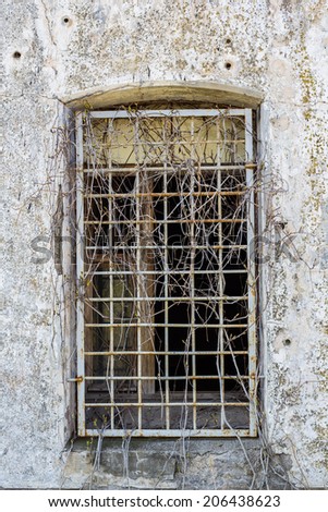 Window with old iron bars