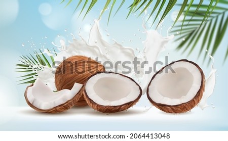 Coconut milk splash and palm leaves, vector bokeh background. Cracked coconut nuts on milk splash with tropical exotic blue bokeh background for food sweets, spa cosmetics or cream packaging Royalty-Free Stock Photo #2064413048
