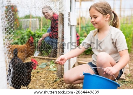 Mom and her daughter feed chickens in chicken coop in the backyard of country house Royalty-Free Stock Photo #2064449639