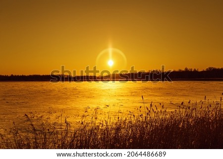Winter sunset landscape with snow-covered field and bright glare from sun, grass covered with frost, white snow sparkles in sun. Beautiful winter nature view. 