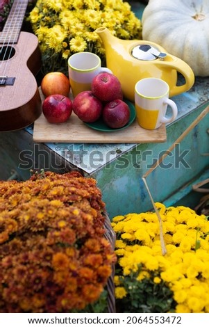 Romantic autumn fall photo shoot in a boat with apples and pumpkin