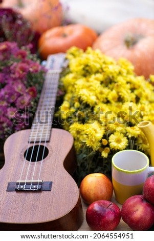 romantic fall autumn date photo shoot  with pumpkin and flowers guitar apples in a boat  Royalty-Free Stock Photo #2064554951