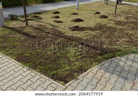 repair of damaged lawns after installation of automatic irrigation. bringing piles of soil and scattering with rakes. lawn sowing and grooving. Royalty-Free Stock Photo #2064577919