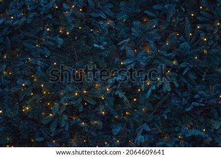Christmas fir tree branches with glowing garlands background. Texture of wall decorated with lighting garlands and green pine fir branches. Christmas decorations background, winter holidays wallpaper