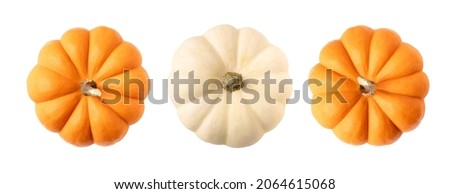 Top view of orange and white pumpkins on isolated white background