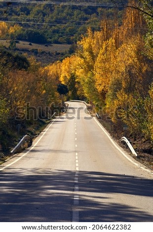 A vertical shot of a curvy road surrounded by trees and bushes in a forest in autumn in Brihuega, Spain