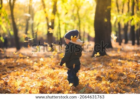 cute boy portrait playing in autumn leaves