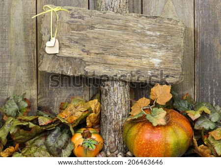 Rustic blank sign with heart hanging on tree by fall leaves and pumpkins