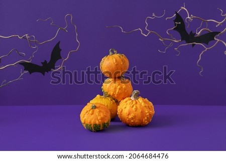 Pile of small decorative pumpkins, black paper bats silhouettes and bare twigs on deep purple background. Festive Halloween composition. Fall holiday celebration. Autumn symbol. Still life, front view
