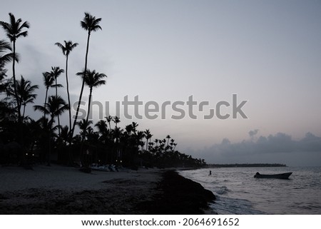 Seascape. Tall palms on the Atlantic Ocean during sunset.