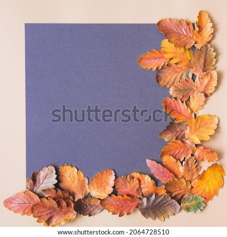 Creative layout frame made of autumn leaves with blue grey paper. Minimal autumn background. Flat lay natural concept. 