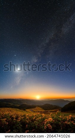 Landscape "Tung Bua Tong" or Mexican sunflower field with mountain background at night winter sky with moonshine and milky way background, Maehongson (Mae Hong Son) Province, Thailand. 