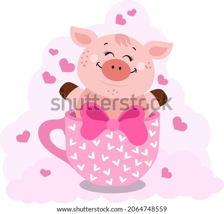 Adorable pig in pink teacup
