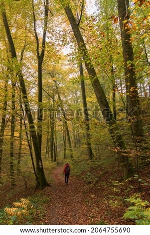 
Region Mullerthal a walking area through Luxembourg. Nature in the fall. 27 Oct 2021 Luxembourg Royalty-Free Stock Photo #2064755690
