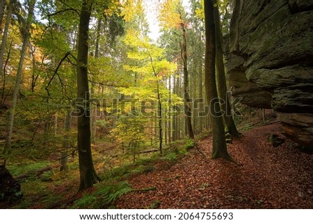 
Region Mullerthal a walking area through Luxembourg. Nature in the fall. 27 Oct 2021 Luxembourg Royalty-Free Stock Photo #2064755693