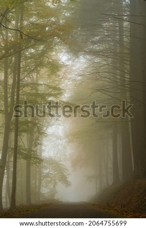 
Region Mullerthal a walking area through Luxembourg. Nature in the fall. 27 Oct 2021 Luxembourg Royalty-Free Stock Photo #2064755699