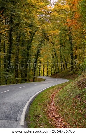 
Region Mullerthal a walking area through Luxembourg. Nature in the fall. 27 Oct 2021 Luxembourg Royalty-Free Stock Photo #2064755705