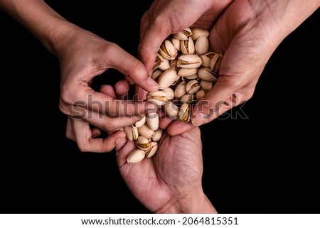 Pistachio on Hand and Showing, Isolated In Black Background, Top View