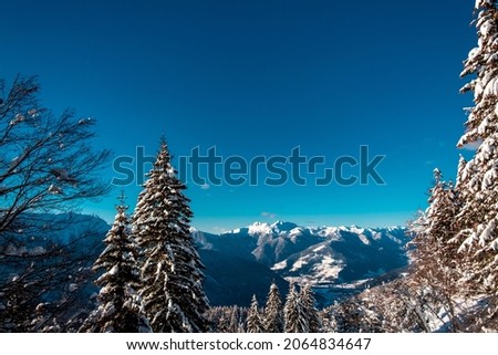 Carnic alps after a big snowfall. Udine province, Friuli-Venezia Giulia region, Italy