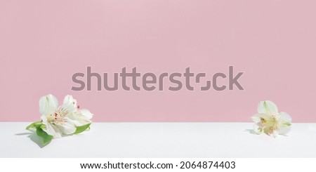 Natural pink background with white flowers. Mockup for cosmetic products. Front view, Copy space for text.