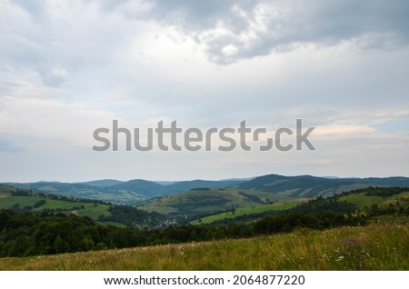 Beautiful natural landscape with grassy meadow, fir forest on slope, and mountain ridge on horizont. Carpathian Mountains, Ukraine