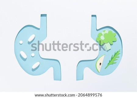 Illustration of the human’s stomach taking vitamins, antibiotics, probiotics and an illustration of the stomach of a human who eats enough vegetables. High quality photo