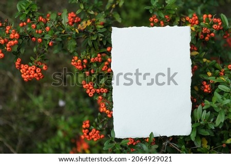 White blank paper sheet card mockup with copy space on berry background. Summer stationery mock-up scene. Top view minimal business brand, wedding invitation  template