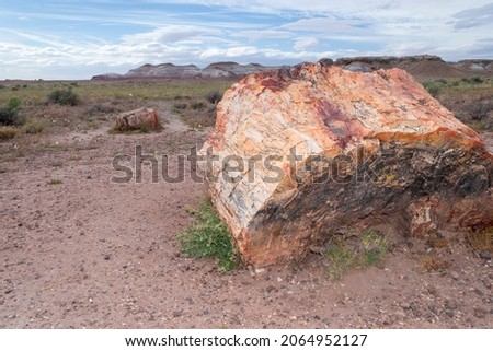 
Very colorful horizontal photo of part of a large petrified log in Petrified Forest foreground, mountains of painted desert background. Arizona’s Painted Desert and Petrified Forest. 
