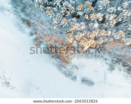 Beautiful aerial view of snow covered pine forests aroung Gela lake. Rime ice and hoar frost covering trees. Scenic winter landscape near Vilnius, Lithuania.