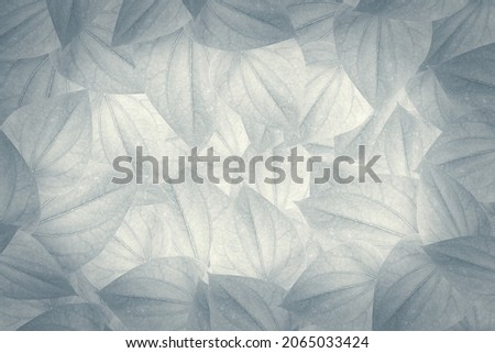 Green tropical leaves background advertising banner with copy space.