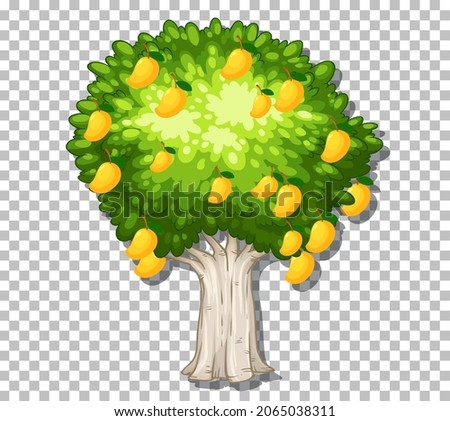 Mango tree on transparent background illustration