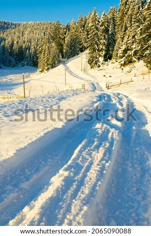 Idyllic rural scene with snow, pine trees, sunny day  Holidays time  Happy New Year  Marry Christmas  Landscapes  Bijambare nature park  Sarajevo 